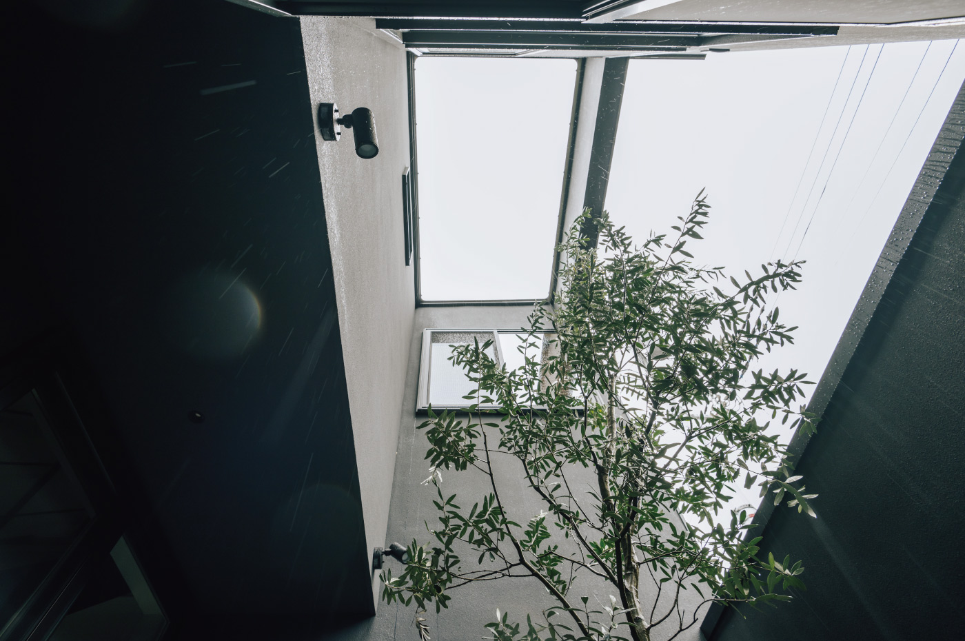 内と外を繋ぐ中庭