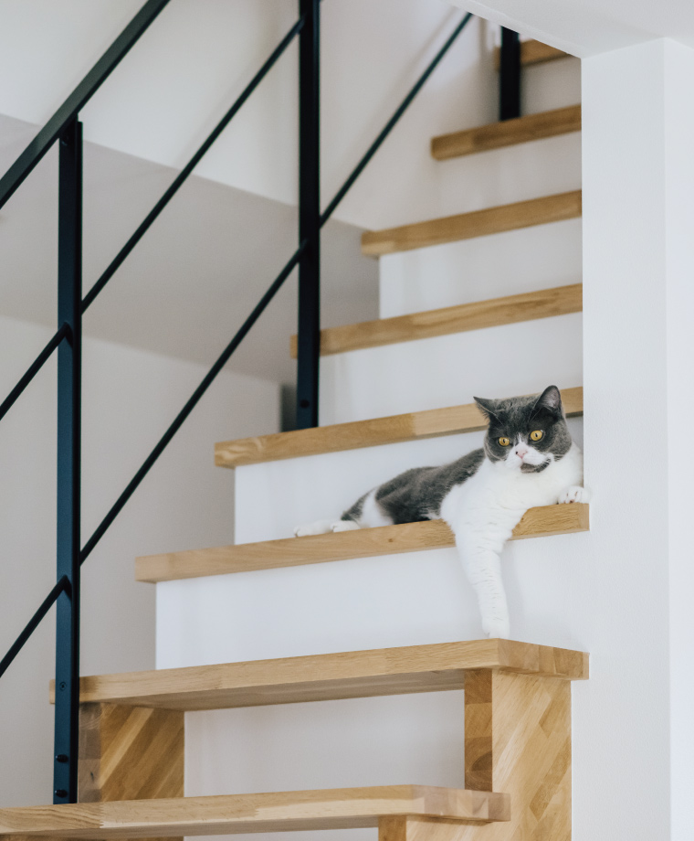 スライド写真11